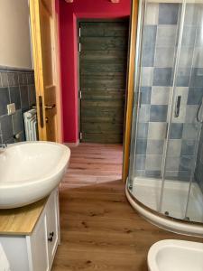 a bathroom with a white sink and a shower at Casa Sofia Panoramic View and Private Box in Temù +22 photos
