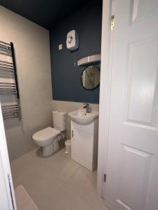 a bathroom with a toilet and a sink and a mirror at Corporate Nest Sallins in Balnacart