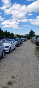 eine Reihe von Autos auf einem Parkplatz in der Unterkunft Casa Diana Tocile in Sadu