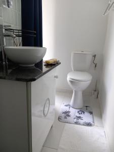 ein Badezimmer mit weißer Toilette und Waschbecken in der Unterkunft Maryland's in Grand-Bourg + 8 Fotos