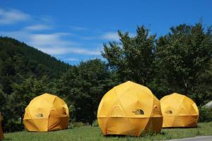 南砺市にあるToga International Campground - Vacation STAY 36256vの草の中にある3つの黄色いテント