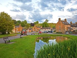 a small village with a pond in the grass at 2 Bed in Hartington 54216 in Hartington