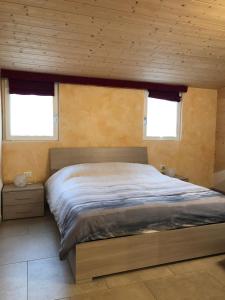 a bedroom with a large bed with two windows at villa morena in Cavalese