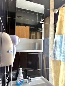 a bathroom with a sink and a hair dryer on a counter at Beachfront Bliss in Đenovići