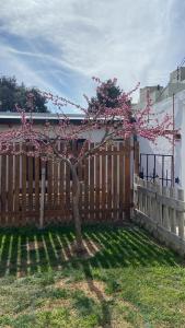 a tree in a yard next to a wooden fence at El Coco in Puerto Madryn