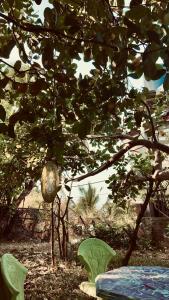 a table and chairs sitting under a tree at DNA secret palace in Tangalle +1 photo