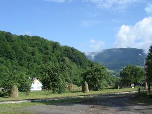 Fotografie z fotogalerie ubytování Zelenyj Gaj v destinaci Kvasy