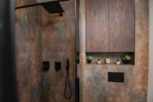 Gambar di galeri bagi PNT Noir Apartment di Alba Iulia