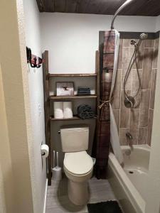 a small bathroom with a toilet and a shower at Powder and Paddle in McCall