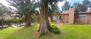 two palm trees in front of a house at Casa de Flia in Villa Gesell