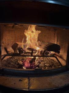 Un fuego en un horno con comida. en Best price in McCall, ID! Quiet and spacious!, en McCall