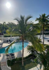 a palm tree in front of a swimming pool at Spacious 1 bedroom appartment in sunny paradise in Punta Cana