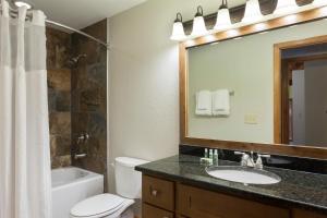 a bathroom with a toilet and a sink and a mirror at Hilton Vacation Club MountainLoft Gatlinburg in Gatlinburg +20 photos