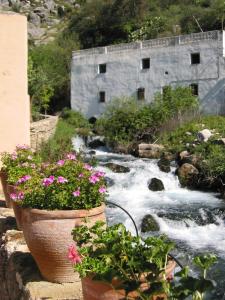 Un río con flores en macetas al lado de un edificio en Molino Del Santo, en Benaoján