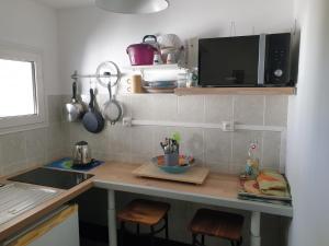 a kitchen with a counter top with a microwave at Ô Ravenale Manapany Les Bains in Saint-Joseph