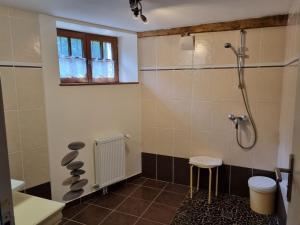 a bathroom with a shower and a toilet and stool at Chambre cosy au cœur du Berry avec petit-déjeuner maison - FR-1-591-693 in Thevet-Saint-Julien +23 photos