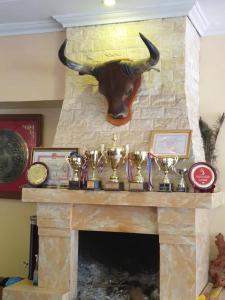a fireplace with trophies and a bull head on it at Adam Hotel Sa Pa in Sa Pa