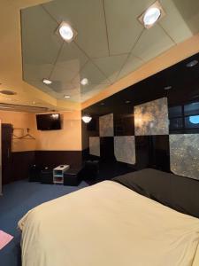 Μια τηλεόραση ή/και κέντρο ψυχαγωγίας στο 四条ホテル