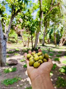 Ảnh trong thư viện ảnh của Daro's Enclave ở Kamburugamuwa +51 ảnh