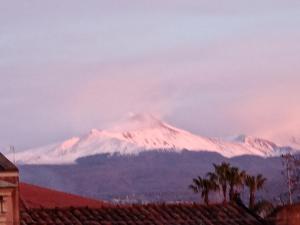 a snow covered mountain in the distance with palm trees at La Finestra sull'Etna in San Gregorio di Catania +21 photos