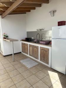 a kitchen with a white refrigerator and a sink at Villa Alexander in Puerto de Santiago