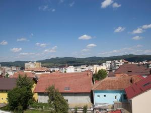 a view of a city with houses and buildings at Vila Victoria in Râmnicu Vâlcea