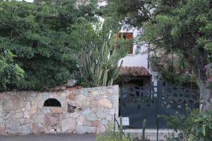 Fotografie z fotogalerie ubytování B&B Chorisia v destinaci San Teodoro