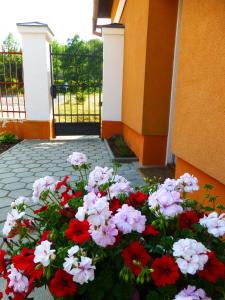 Ein Garten an der Unterkunft Ubytovanie na Frantšachte