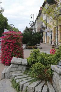 ザコパネにあるApartament Giewont Krupowkiのピンクの花と石壁の通り