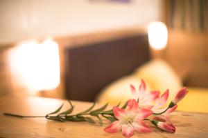 Fotografie z fotogalerie ubytování Gästehaus Falkner Ignaz v Söldenu
