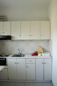 Virtuvė arba virtuvėlė apgyvendinimo įstaigoje Ioannis Avrades Apartments