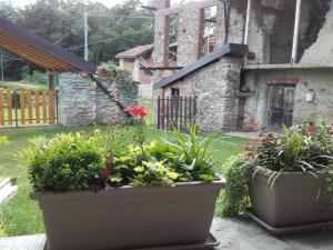 A garden outside Cascinetta32