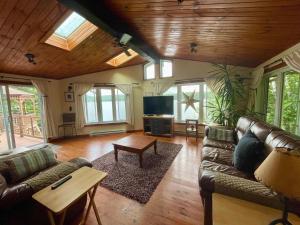 TV a/nebo společenská místnost v ubytování Spa & Waterfront - Chalet le Colibri + 23 fotografií