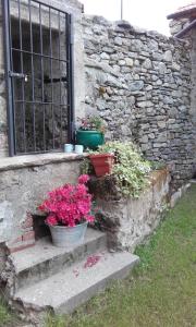 A garden outside Cascinetta32