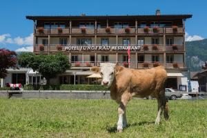 una mucca in piedi in un campo di fronte a un hotel di Jungfrau Hotel a Wilderswil