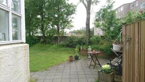 Zahrada ubytování Alba Guesthouse