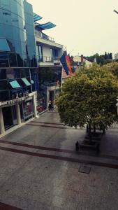 een stadsstraat met een boom en een gebouw bij Apartment The Royal Pg in Podgorica