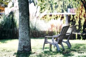 RivertraceにあるRomantic Suite Rental with Terrace and Chimenea near Gatlinburg, Tennesseeの公園の木の横に座る二つのベンチ