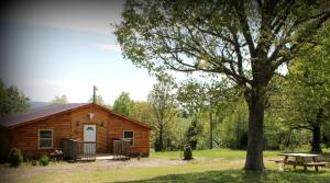 une cabane en rondins avec une table de pique-nique et un arbre dans l'établissement Farmhouse Cabin Getaway near Ozark Forest in Arkansas, à Marshall