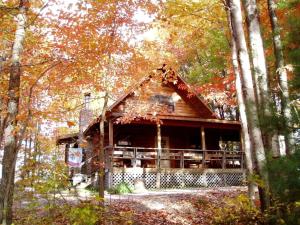 une cabane en rondins entourée d'arbres dans l'établissement Stunning Pet-Friendly Cabin Rental near Charleston, West Virginia, à Hico