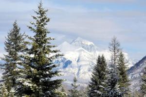 a snow covered mountain with trees in front of it at Mountain View Cabin with Deck, Jacuzzi and Ping Pong Table in Montana in West Glacier +29 photos