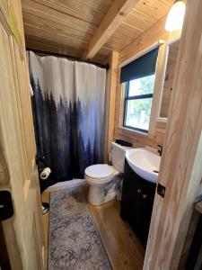 a small bathroom with a toilet and a sink at Incredible Modern Tiny Log Cabin near the Ammonoosuc River for a Romantic Getaway in New Hampshire in Jericho +14 photos