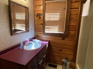 Koupelna v ubytování Rustic Log Cabin Rental near Chattahoochee National Forest, Georgia + 20 fotografií