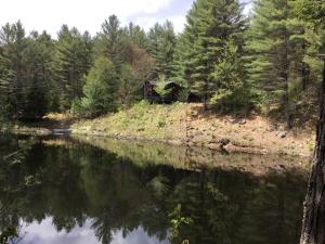 Příroda nedaleko prázdninového domu + 12 fotografií