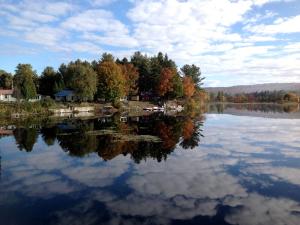Příroda nedaleko prázdninového domu
