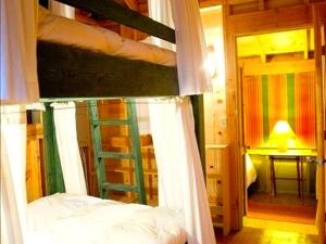 a bedroom with a bunk bed with a ladder at Unique Cabin Vacation Rental for Large Groups on the coast of Lake Michigan near Saugatuck, Michigan in Pier Cove +11 photos