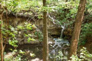 Природа в окрестностях люкс-шатра