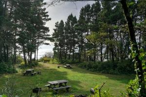 two picnic tables in a field with trees at Charming A Frame Nestled Amidst Trees in Otter Rock, Oregon in Otter Rock