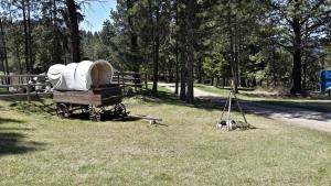 Φωτογραφία από το άλμπουμ του Western-Style Room on Ranch near Whitefish, Montana σε Kila