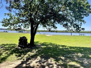 un árbol sentado en un campo junto a un lago en Idyllic Cabin with a Fire Pit Perfect for a Weekend Getaway from Houston, en Mims 10 fotos más